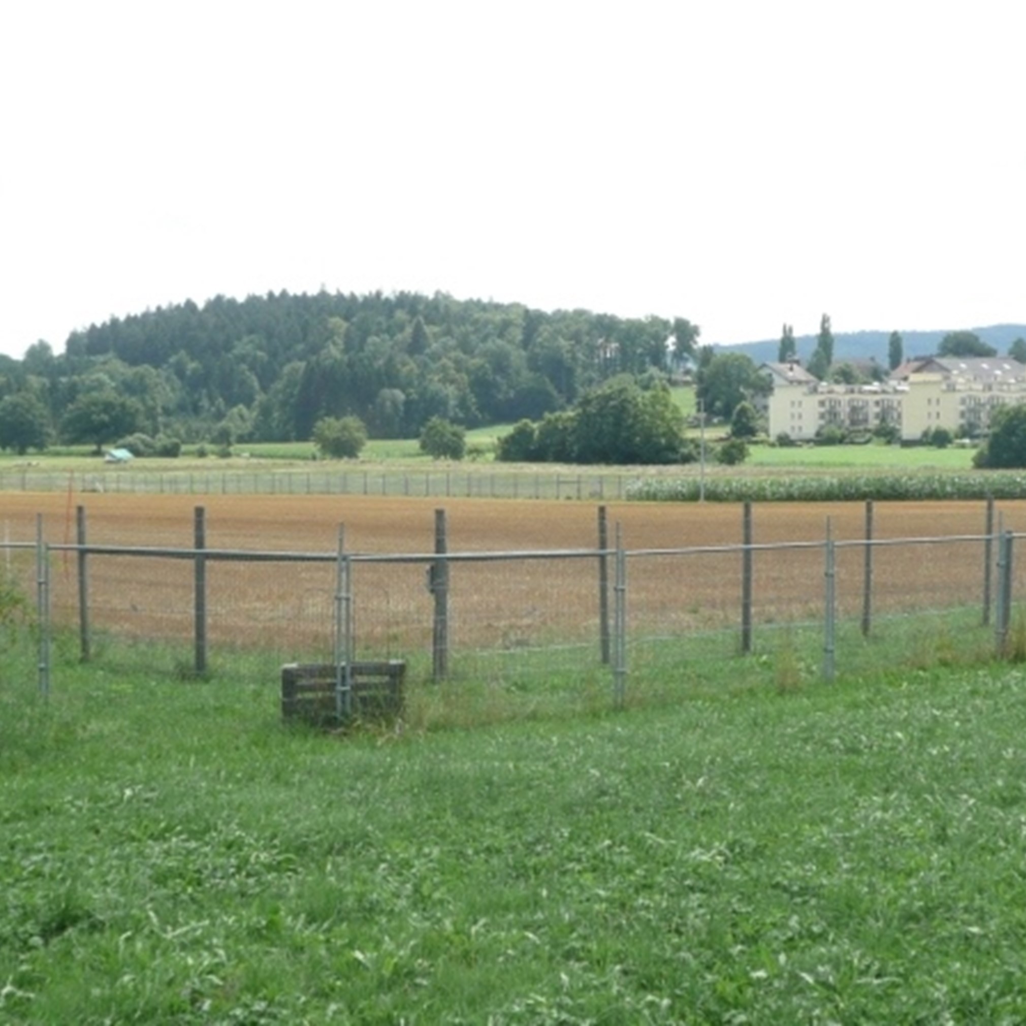 Referenzbild Agroscope Protected Site
